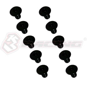 Flat Head Hex Socket (10pcs)