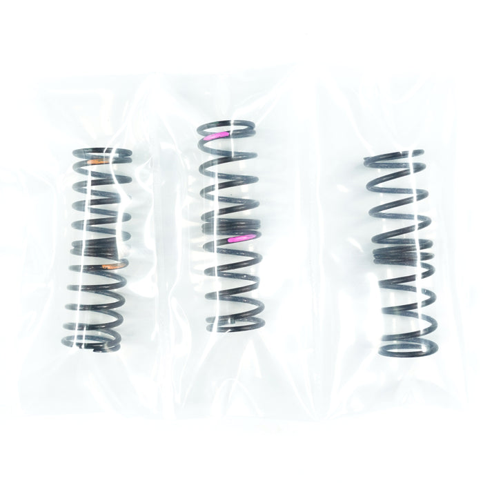 FGX-303 Damper Spring Set For 3racing Sakura FGX